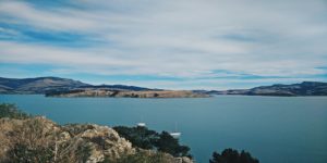 Read more about the article Flights To NZ From $384 Return With Air New Zealand