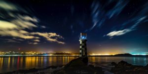 Flights to Wellington