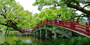 Read more about the article Return flights to Japan from $822 with Japan Airlines