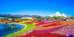 Read more about the article Return flights to Orlando with United from $1313